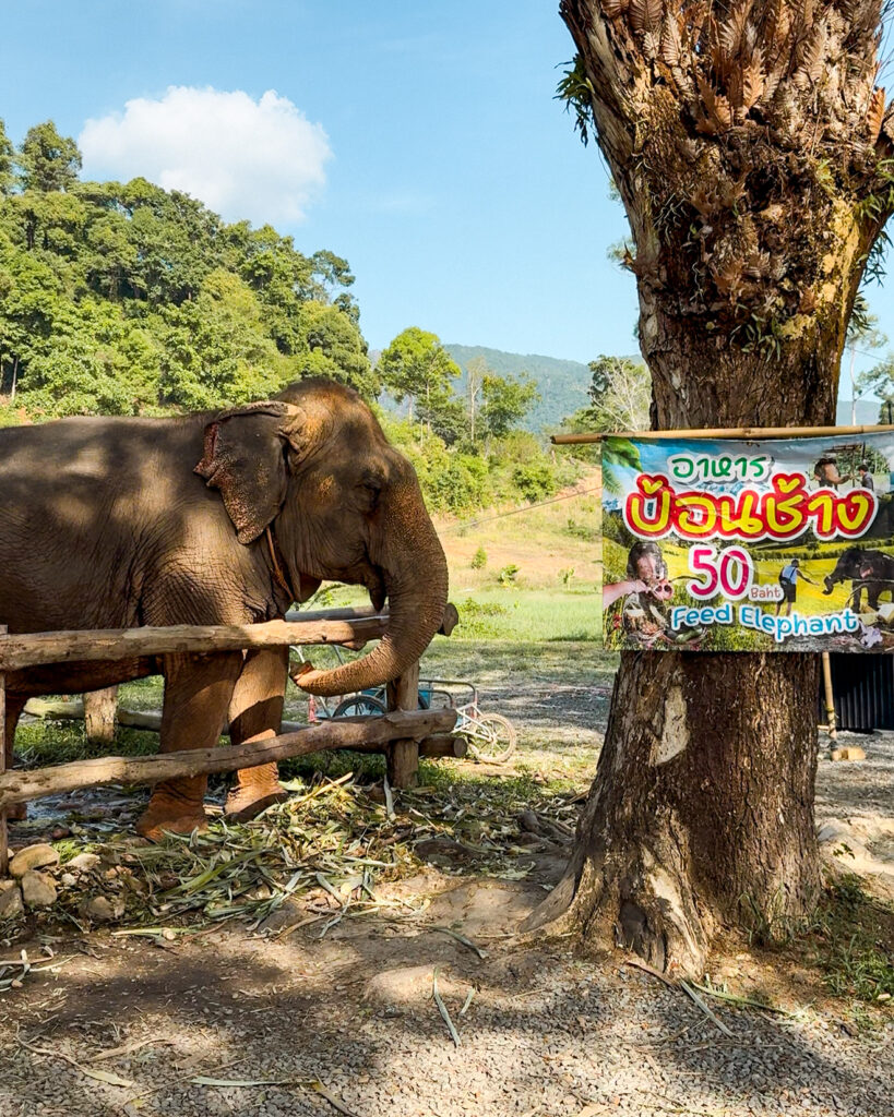 koh chang thailand, koh chang strände, beste reisezeit koh chang, koh chang anreise, koh chang unterkünfte, koh chang luxusresort, koh chang backpacking, koh chang schnorcheln, koh chang wetter, koh chang wasserfall, koh chang tauchen, koh chang resort, koh chang strandbungalow, koh chang paradies, koh chang nightlife, koh chang transport, koh chang kosten, koh chang tipps, koh chang sehenswürdigkeiten, koh chang geheimtipp, koh chang bungalow, koh chang roller mieten, koh chang beste strände, koh chang reiseblog, koh chang reisetipps, koh chang insidertipps, koh chang tourismus, koh chang budget, koh chang hotels, koh chang restaurants